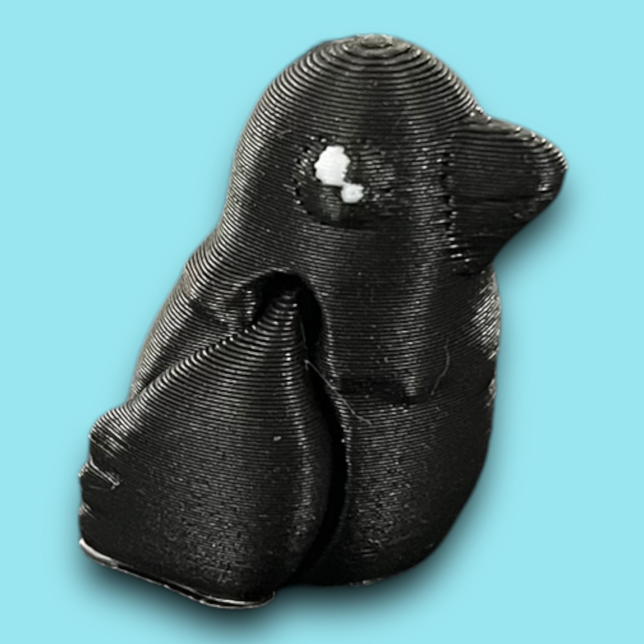 Crow Mini