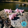 Flexi Animal Keyrings