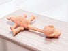 Flexi Dino